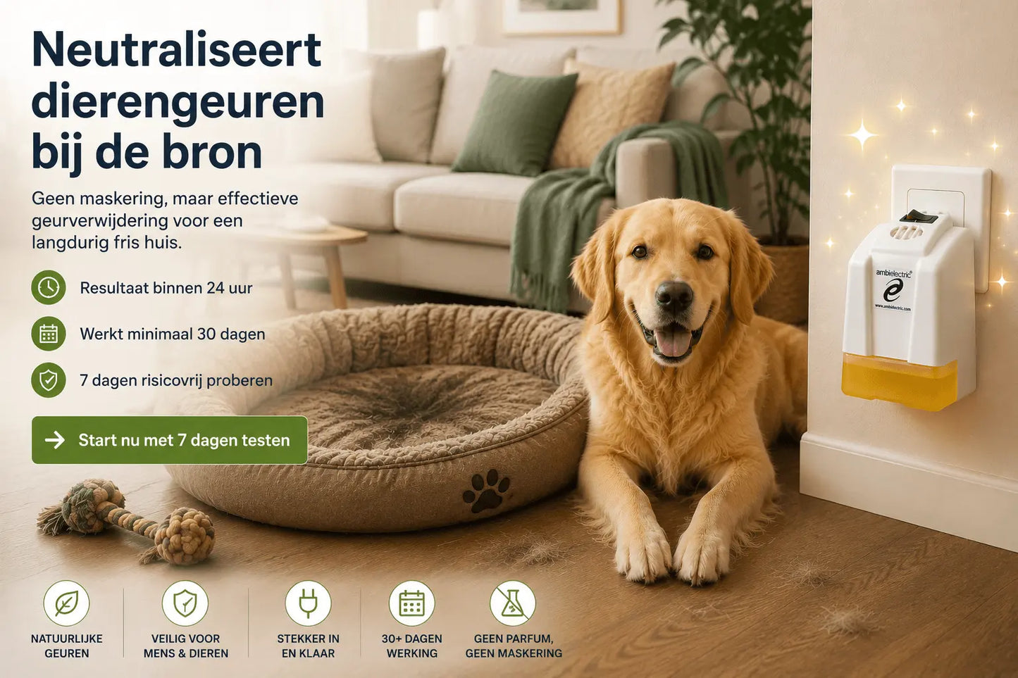 Starterset gegen Tiergerüche – Zitrone